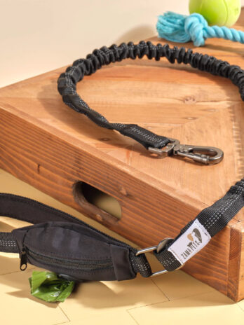 BUNGEE DOG LEASH – MULTIFUNCTIONAL WITH ZIPPER POUCH